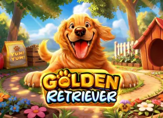 Pragmatic : Golden Retriever - JETPLANE168